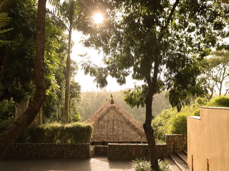 Alila Ubud фото 28