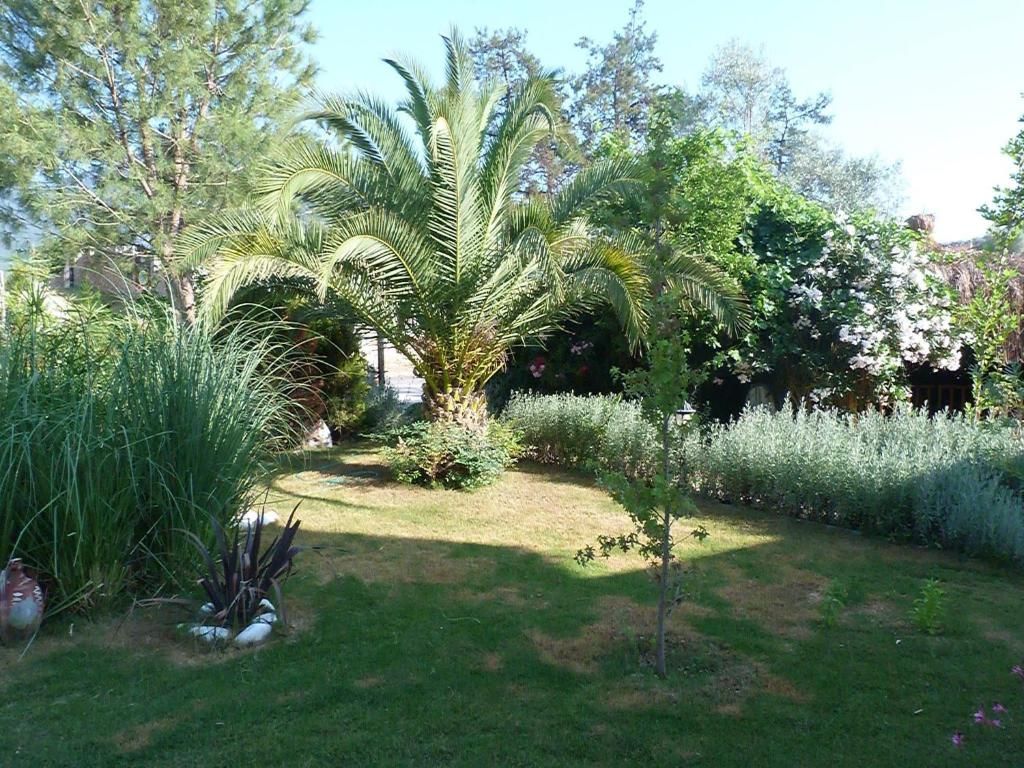 Telmessos Select (Adults Only) фото 31
