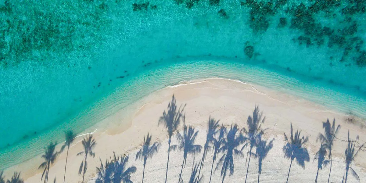 Milaidhoo Island Maldives фото 12