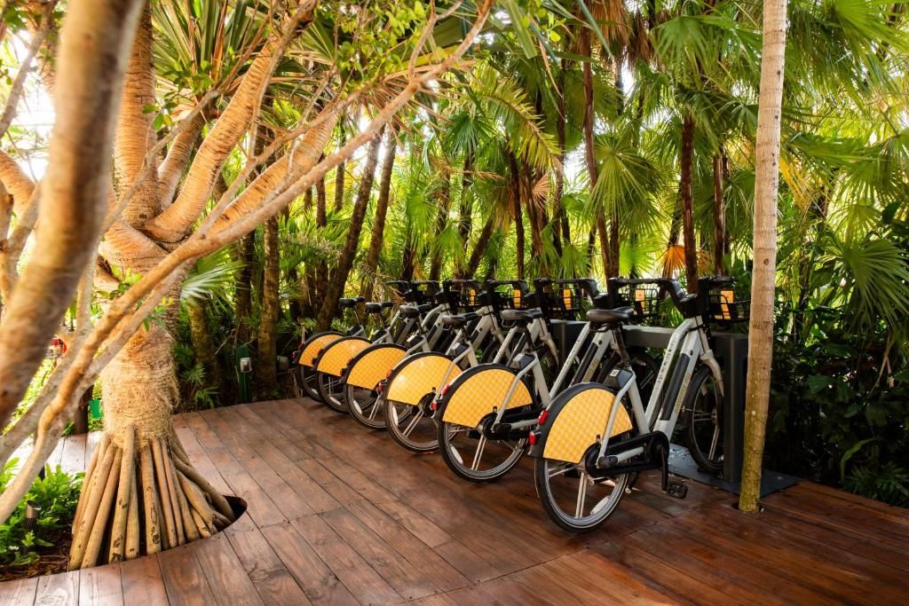 The Standard Spa Miami Beach фото 28