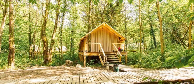Фото отеля LES Glamping & Spa