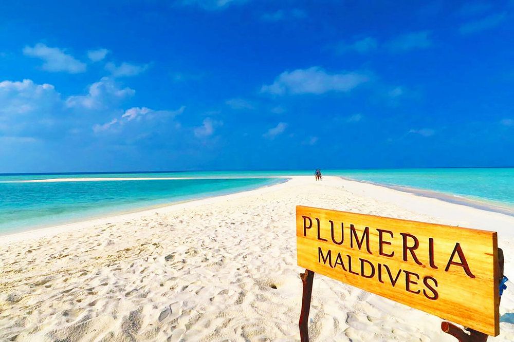 Guest House ««Plumeria Maldives» Guest House» фото 119