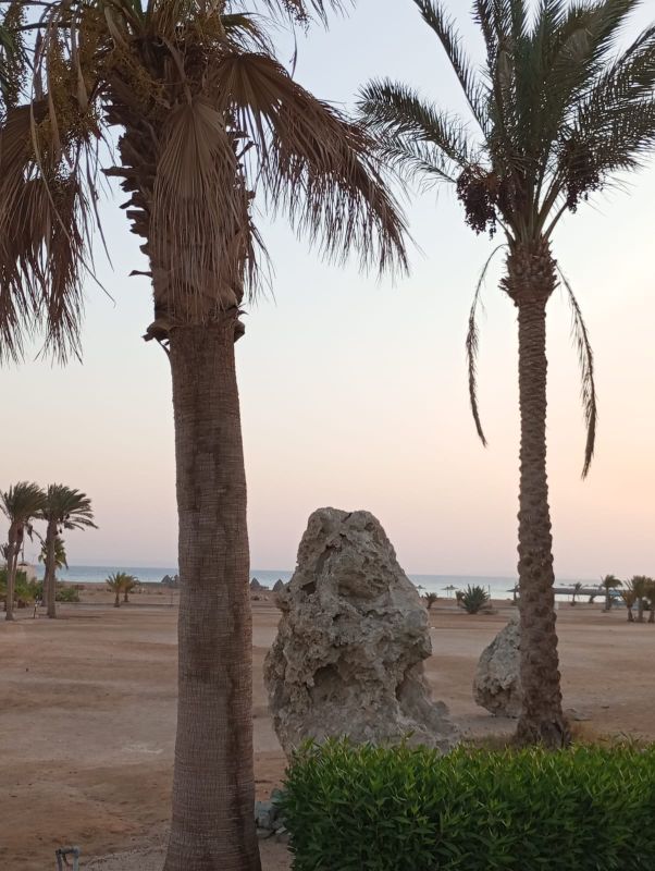 Coral Beach Hurghada фото 100