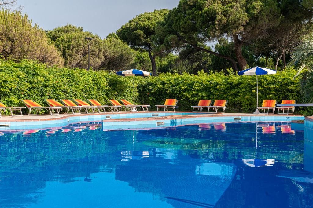 Hotel Ausonia фото 16