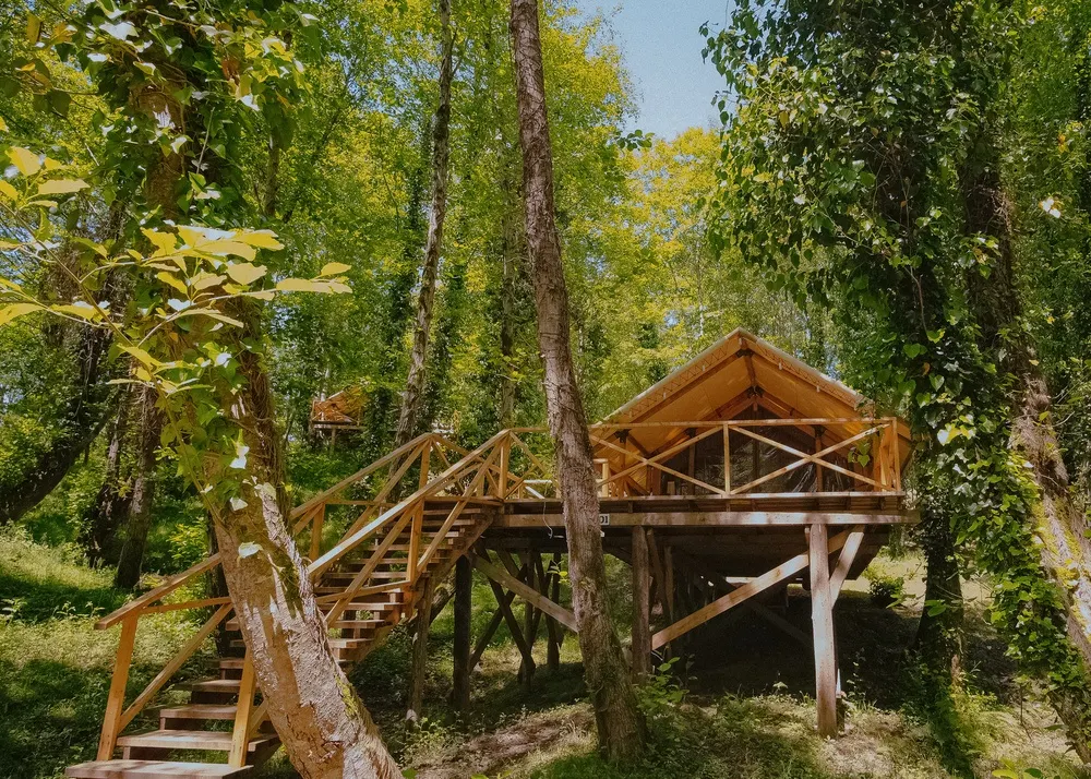 Garuda Glamping Abkhazia фото 24