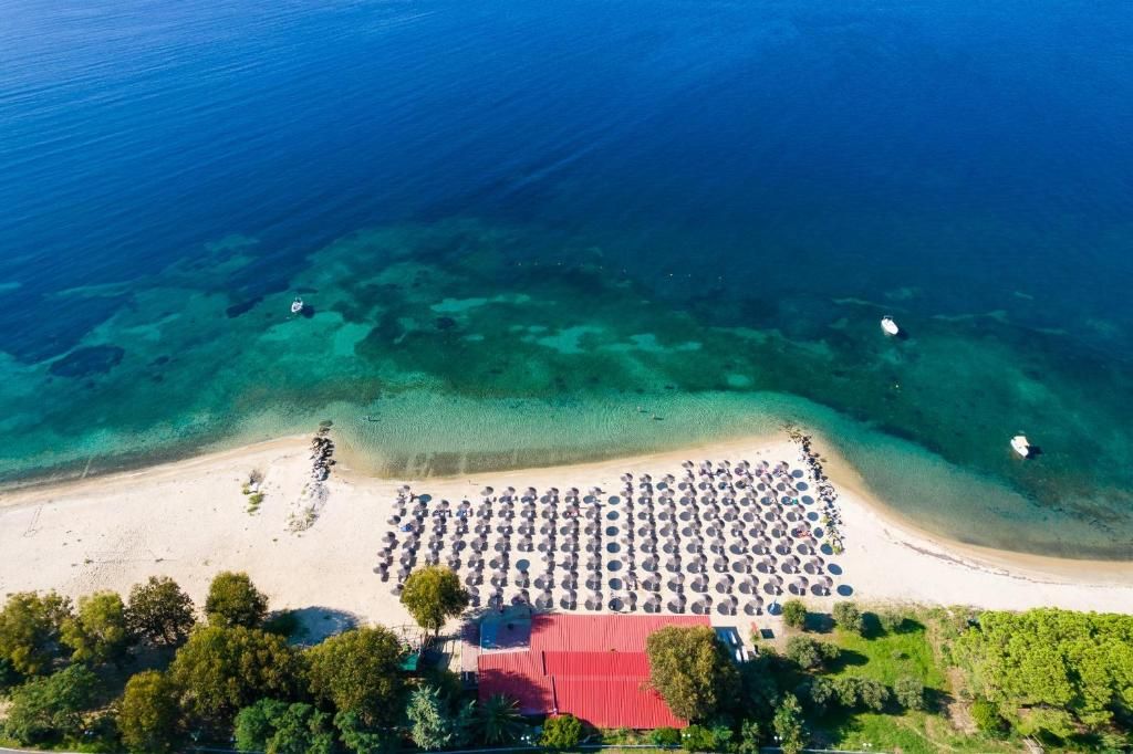 Alexandros Palace Hotel & Suites фото 16