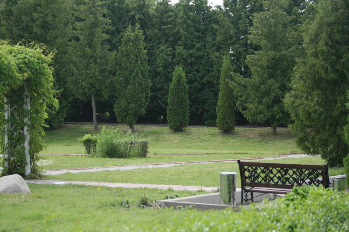 Гостиница «Foresta Festival Park» фото 191