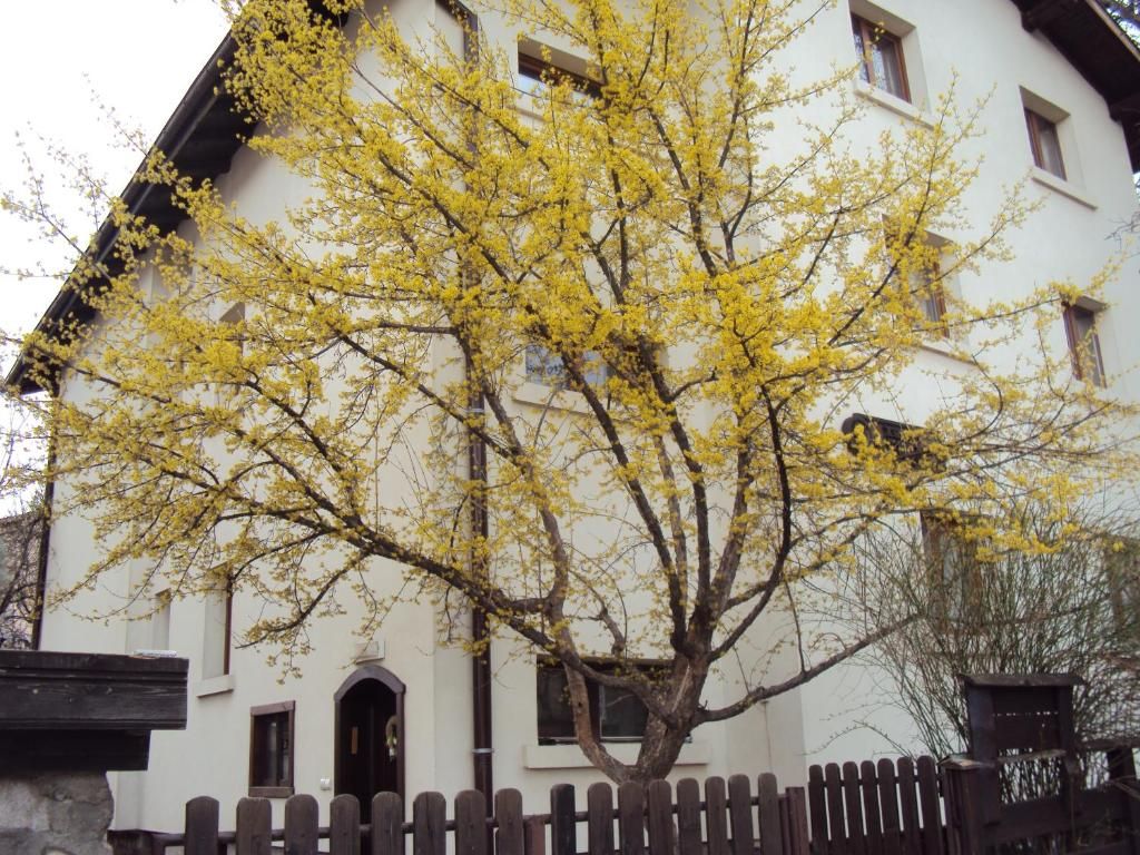 Guest House Sema фото 0