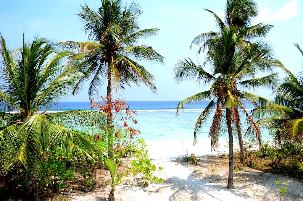 Velaa Beach фото 17
