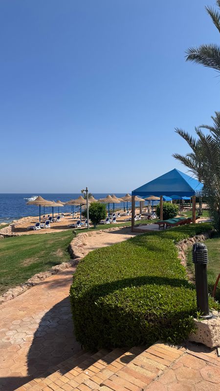 Renaissance Sharm El Sheikh Golden View Beach Resort фото 136