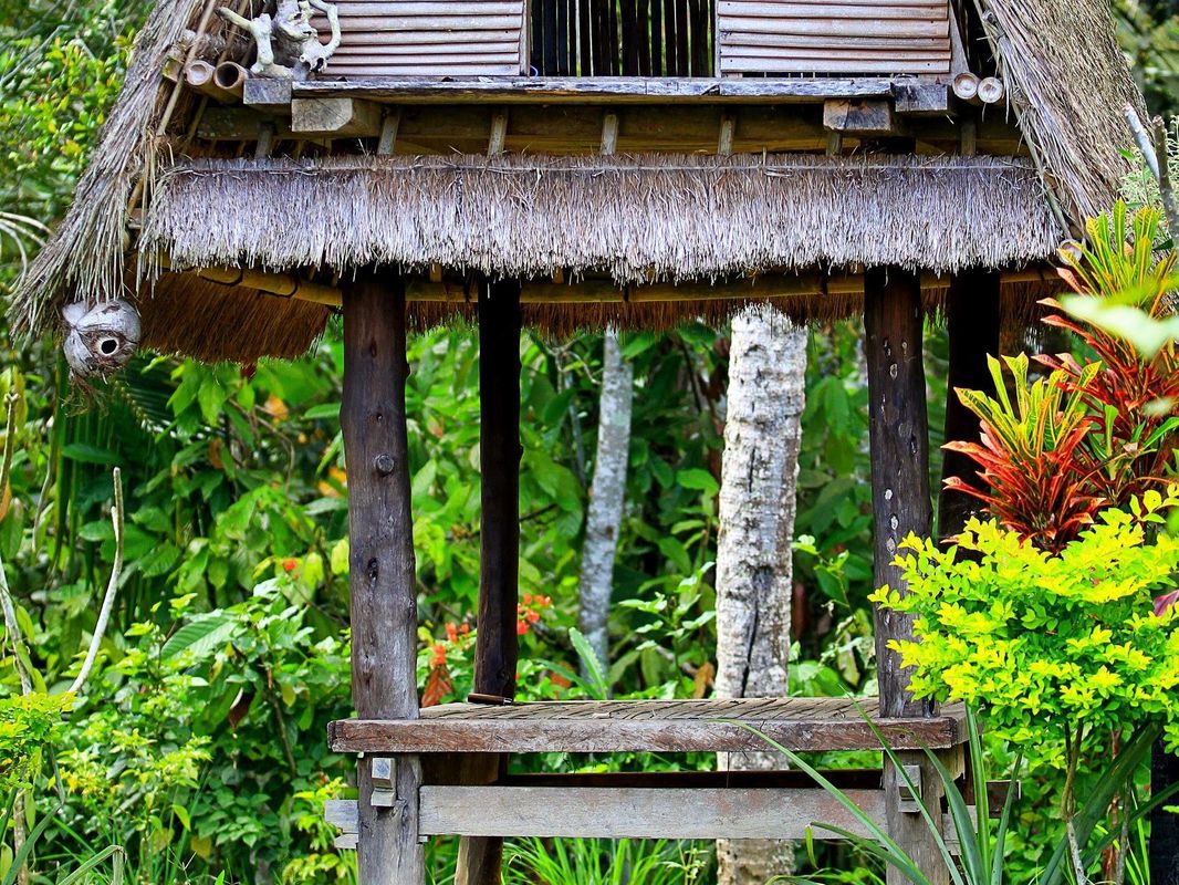 Nandini Bali Jungle & Spa фото 7