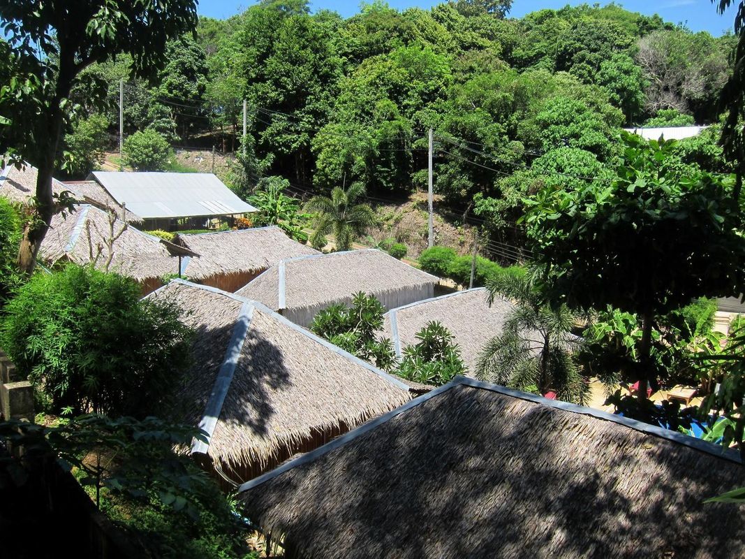 Bamboo Mountain View фото 38