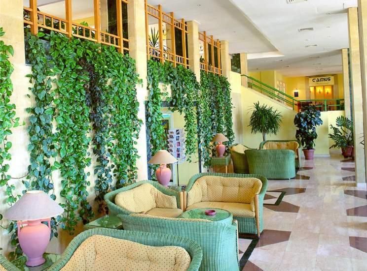 Sea Garden Hotel фото 23