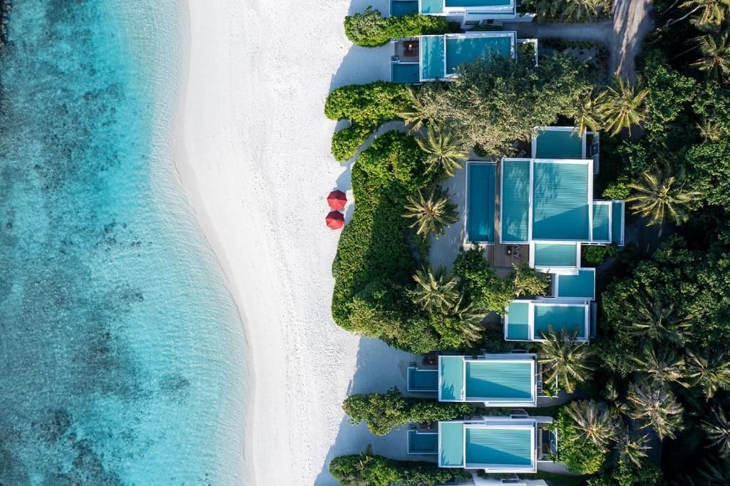 Niva Dhigali Maldives фото 39