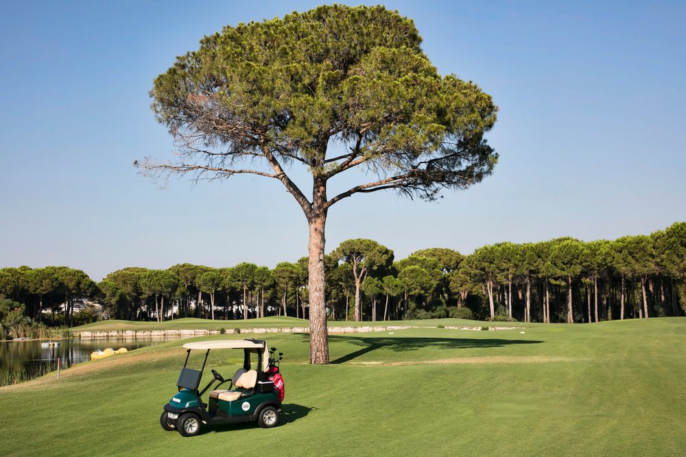 Voyage Belek Golf & Spa фото 97