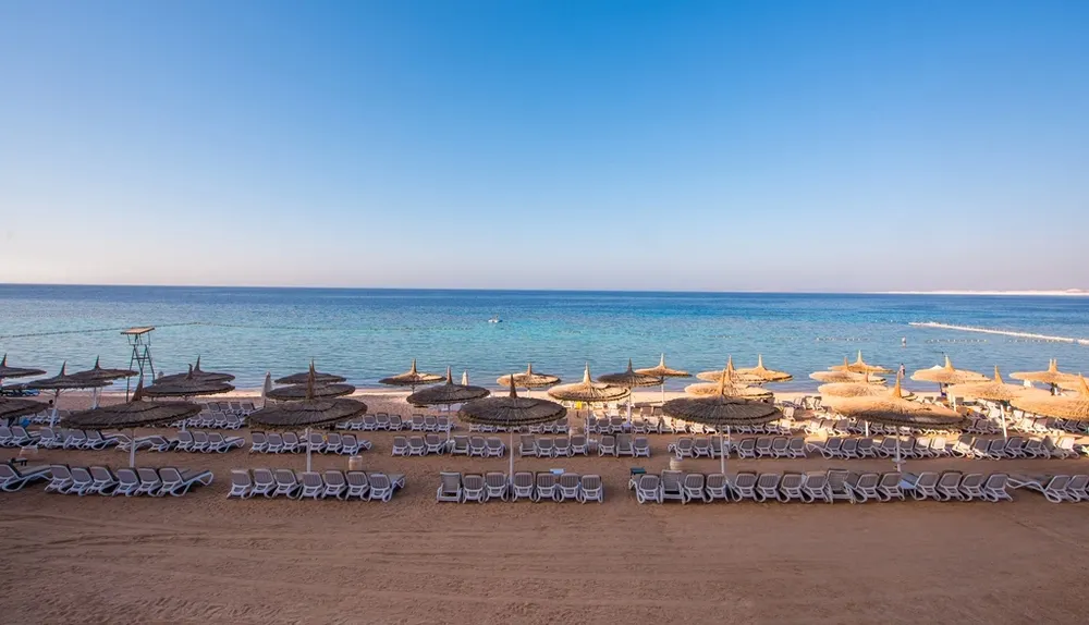 Reef Oasis Beach Resort фото 33