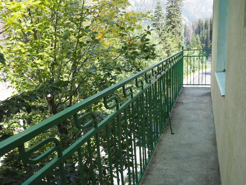 Звездный фото 25