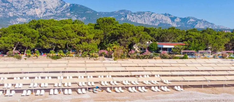 Фото отеля Dream Town