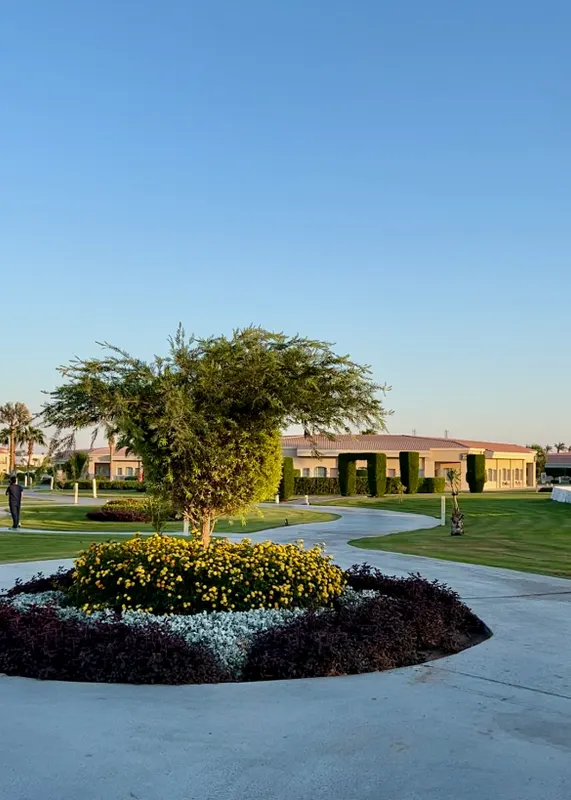 Pickalbatros Luxury Suites фото 124