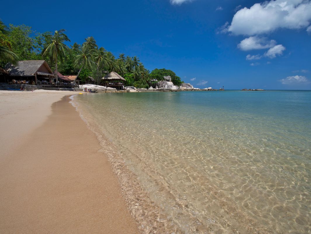 Sensi Paradise Beach Resort фото 23