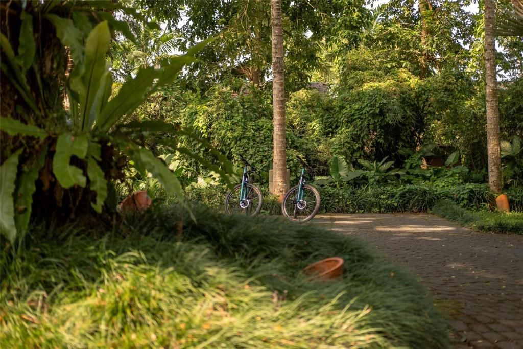 Alila Ubud фото 67