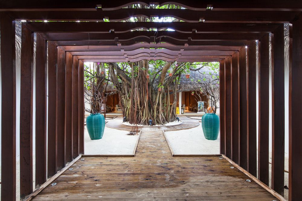 Machchafushi Island Resort & Spa Maldives, The Centara Collection фото 126