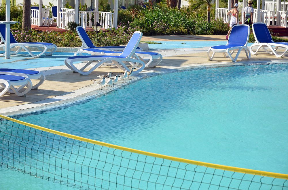 Gran Caribe Club Cayo Guillermo фото 65