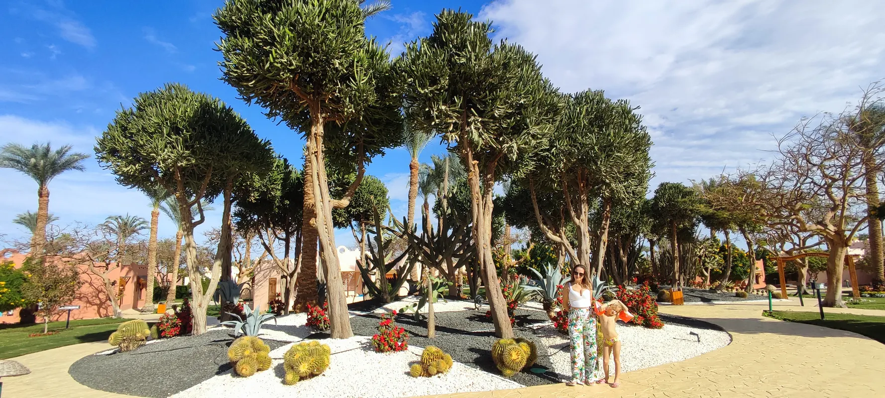 Nubian Island Hotel фото 69