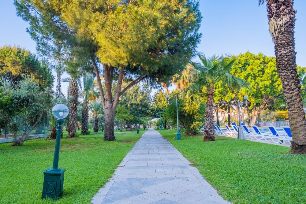 Sural Resort фото 109