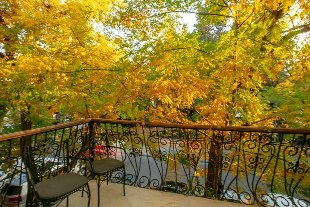 Theatrum Hotel Baku фото 53