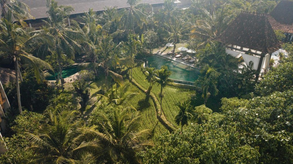 Alaya Resort Ubud фото 1