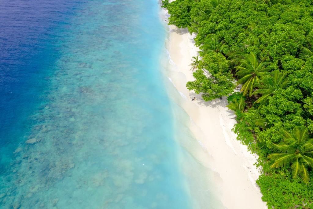 Island Luxury Fehendhoo фото 4