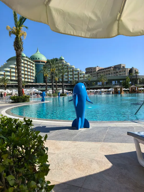 Delphin Palace фото 42