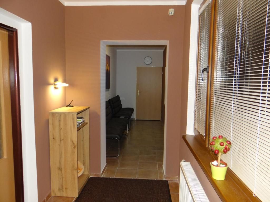 Pension Europa фото 23