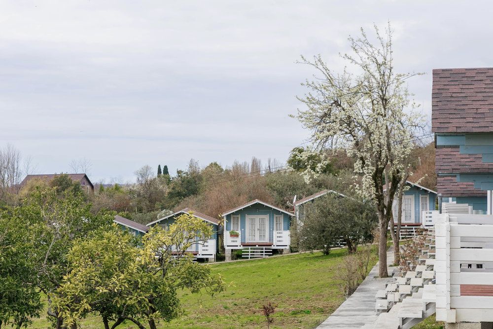 База отдыха «Мандарин» фото 58