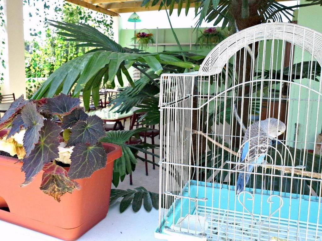 Гостевой дом «Guest House Elena» фото 23