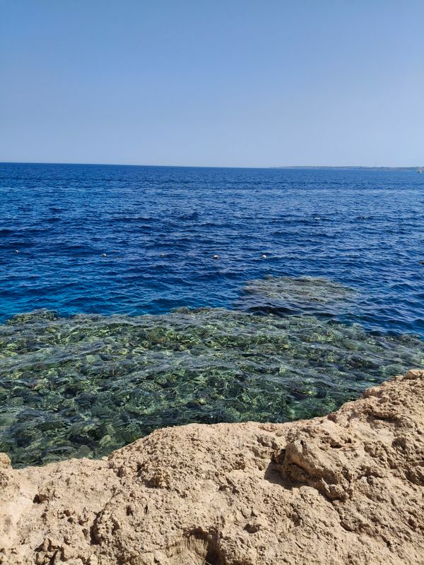 Sharm Plaza Hotel фото 66