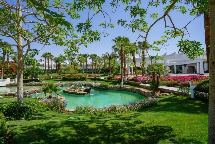 Monte Carlo Sharm El Sheikh Resort фото 31