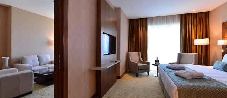 Фото отеля Clarion Hotel Istanbul Mahmutbey