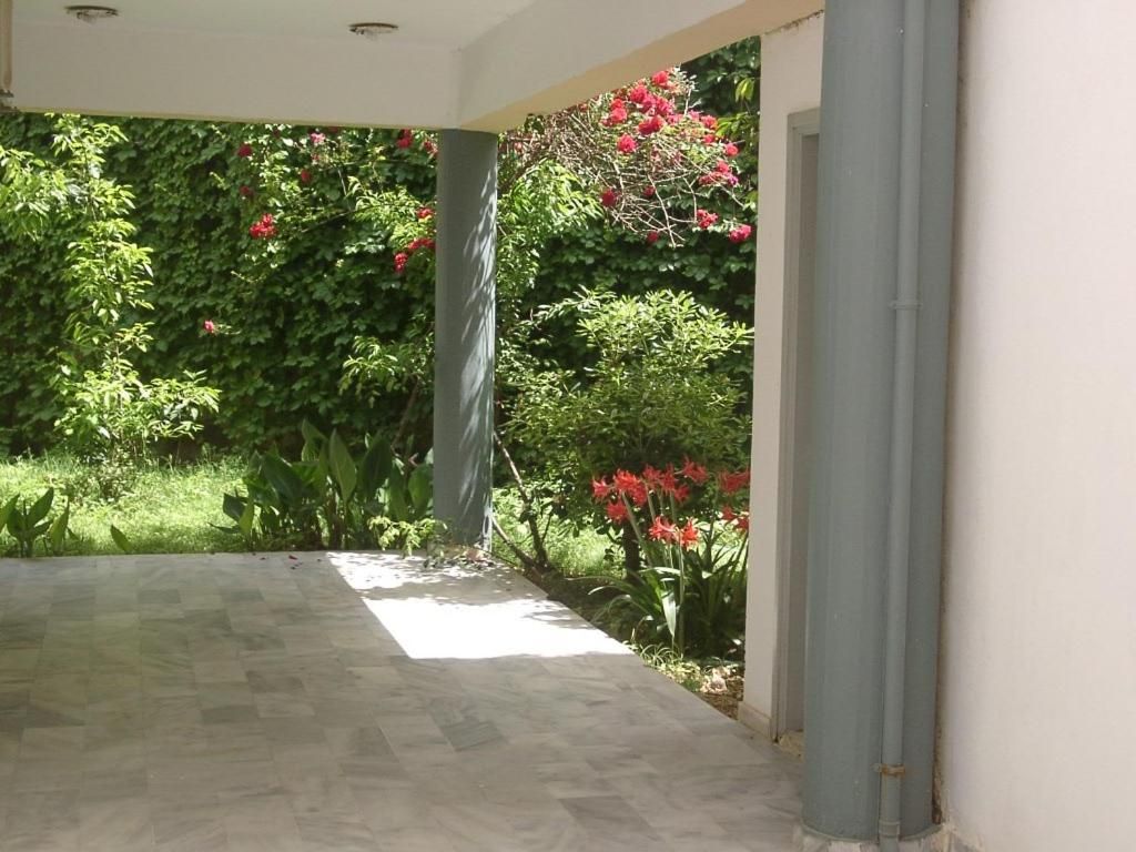 Akasti фото 6