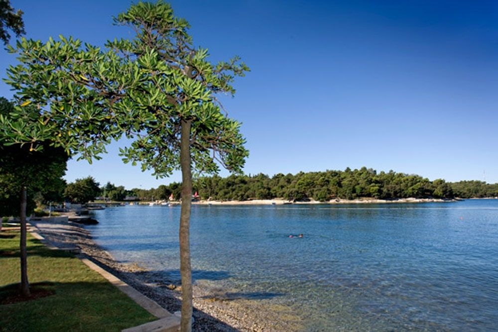All Inclusive Hotel Zorna фото 8