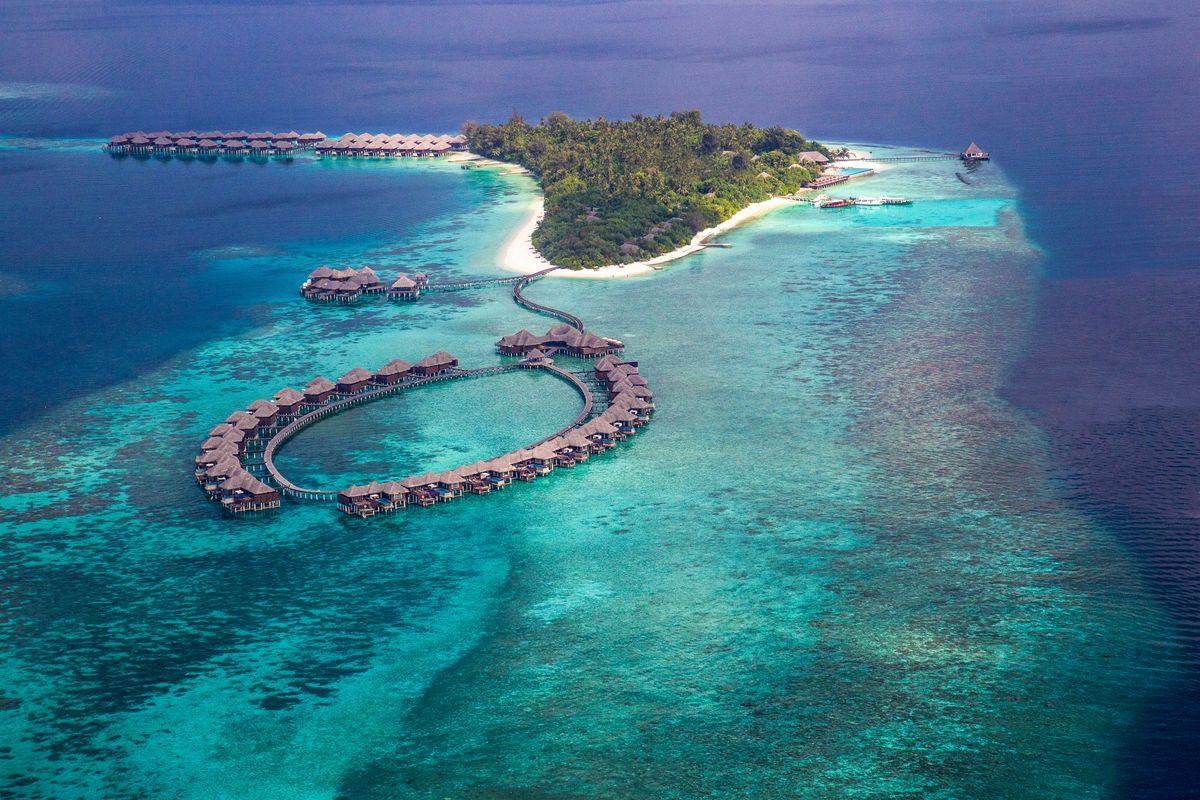 Coco Bodu Hithi фото 22