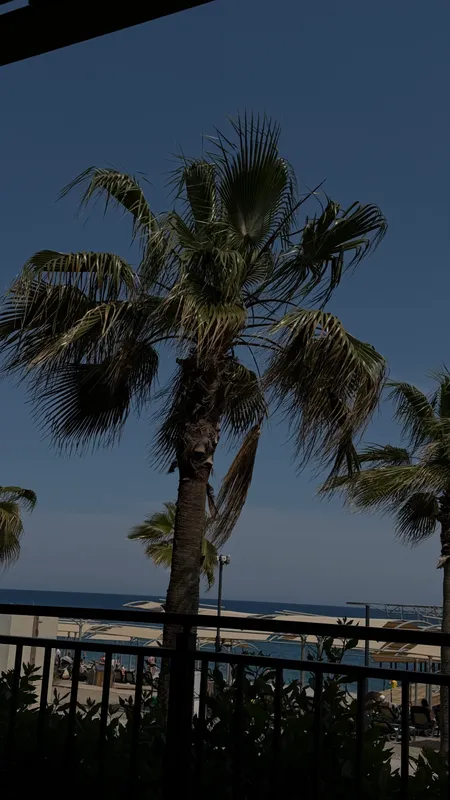 Swandor Hotels & Resorts Kemer фото 80