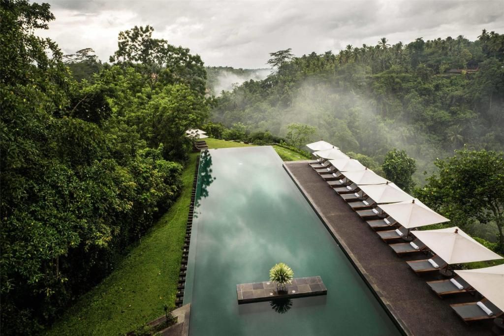 Alila Ubud фото 44