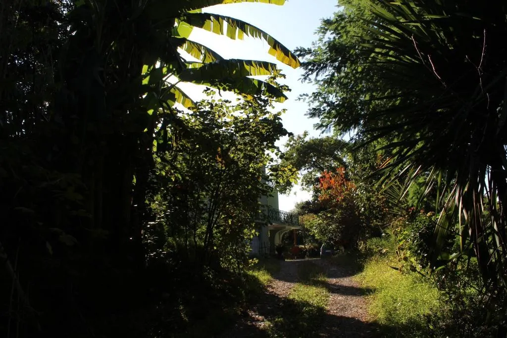 Batumi Green Cape Guest House фото 8
