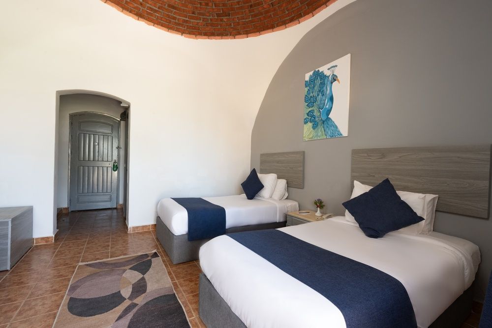 Protels Beach Club & SPA фото 93