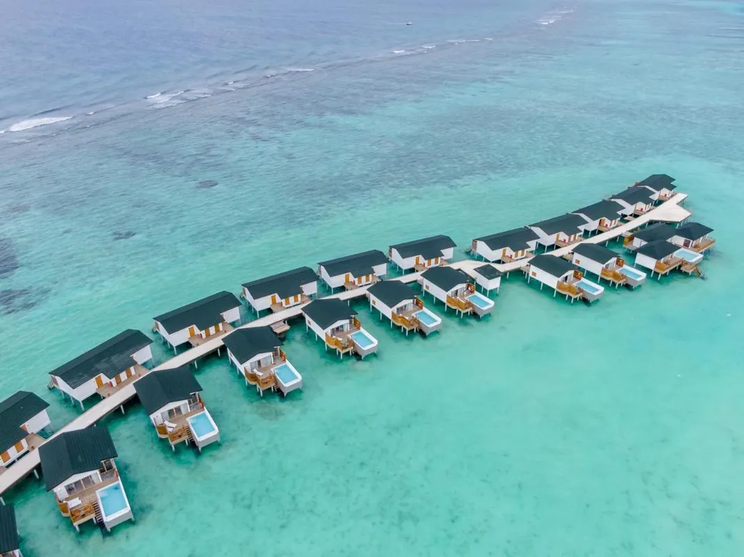 Joy Island фото 21