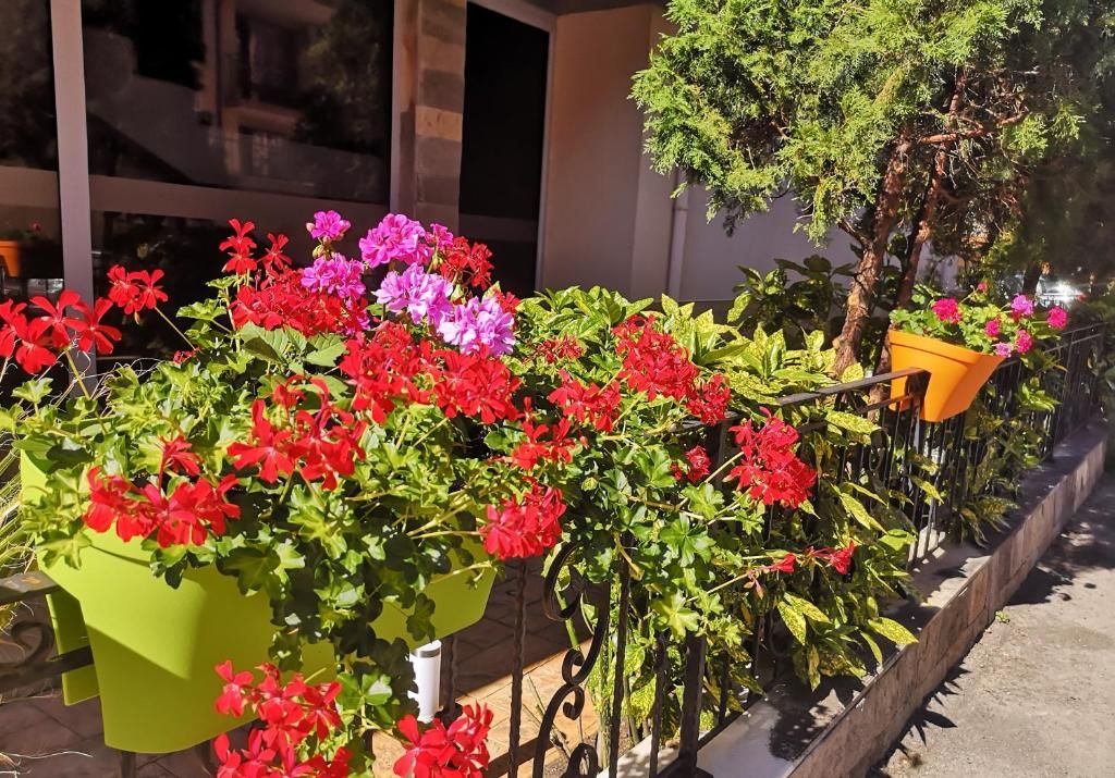 Tropics фото 16