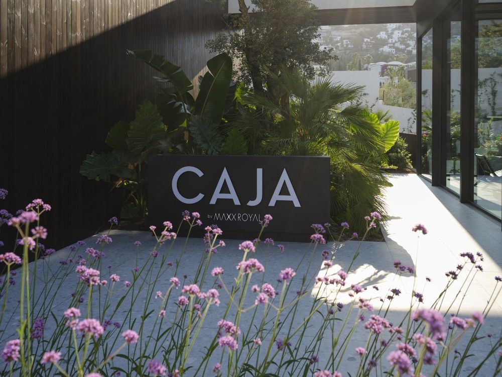 Caja By Maxx Royal фото 77