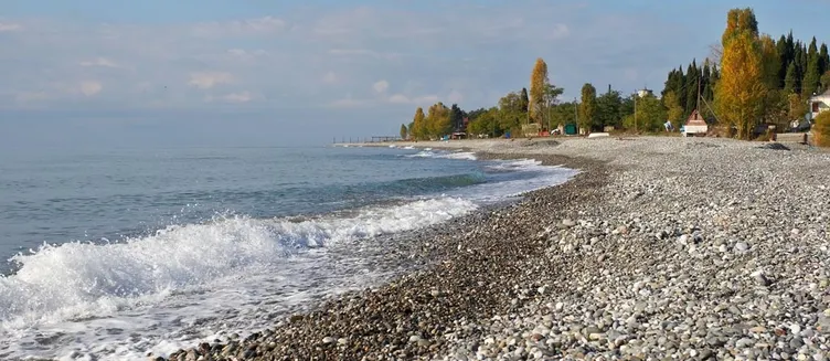 Фото отеля Отель Экохаус